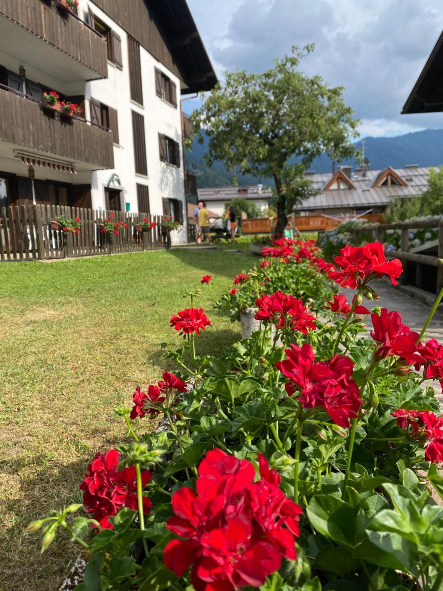Care Alto Apartment Carisolo Bagian luar foto